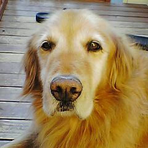 B4db52ec 0e30 452f a371 18df29236190