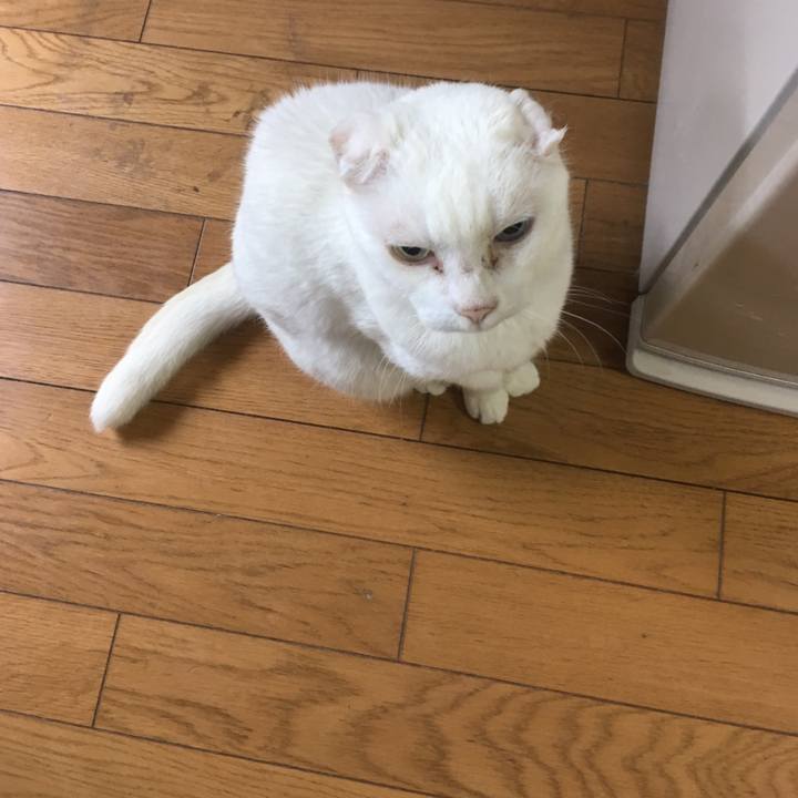 B4db6d93 ba7c 4379 9507 6b8864f31249