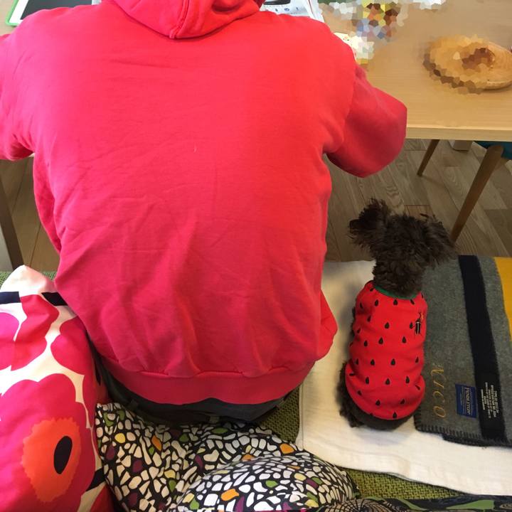 B4db6f36 a720 4e21 98f0 0e39d18fa9d9