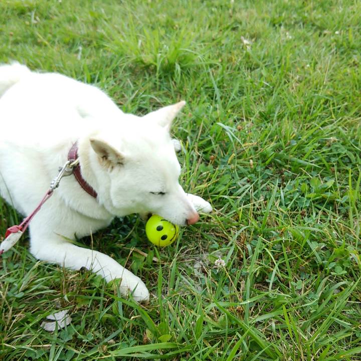 B4db9e7c fab0 43ce 8cfe 7ff1ab77a074