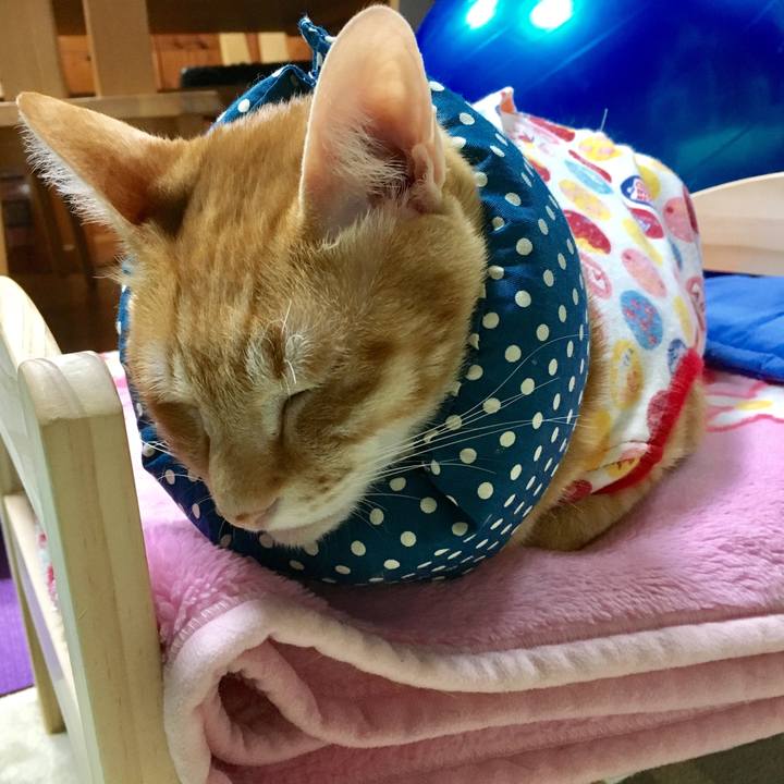 B4dcae28 67f5 4755 9463 a24eb87550c6