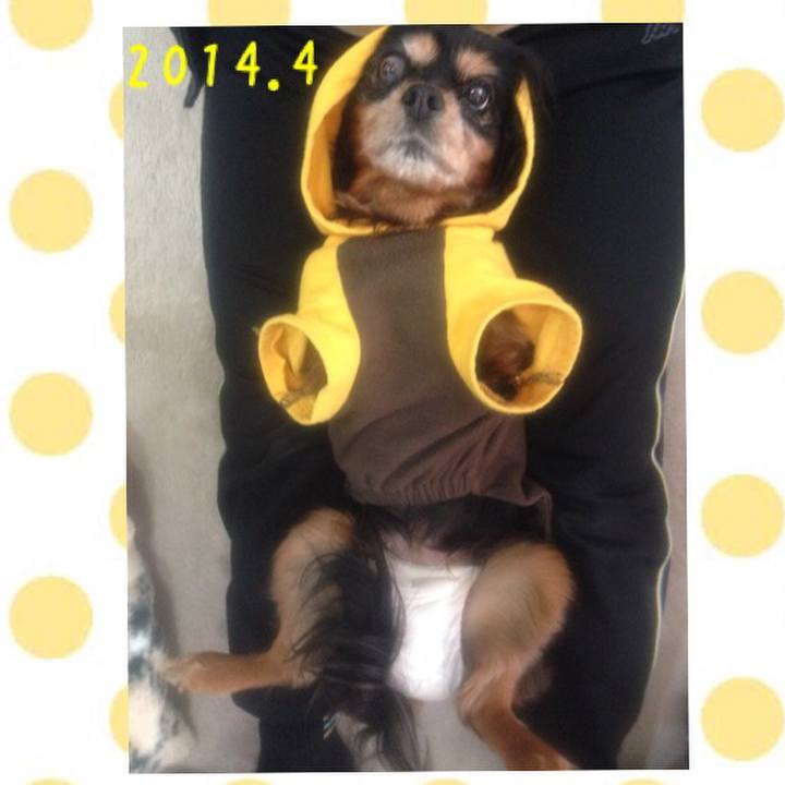 B4dce01e 1c8a 46a1 9ecc 381703d5b2ab