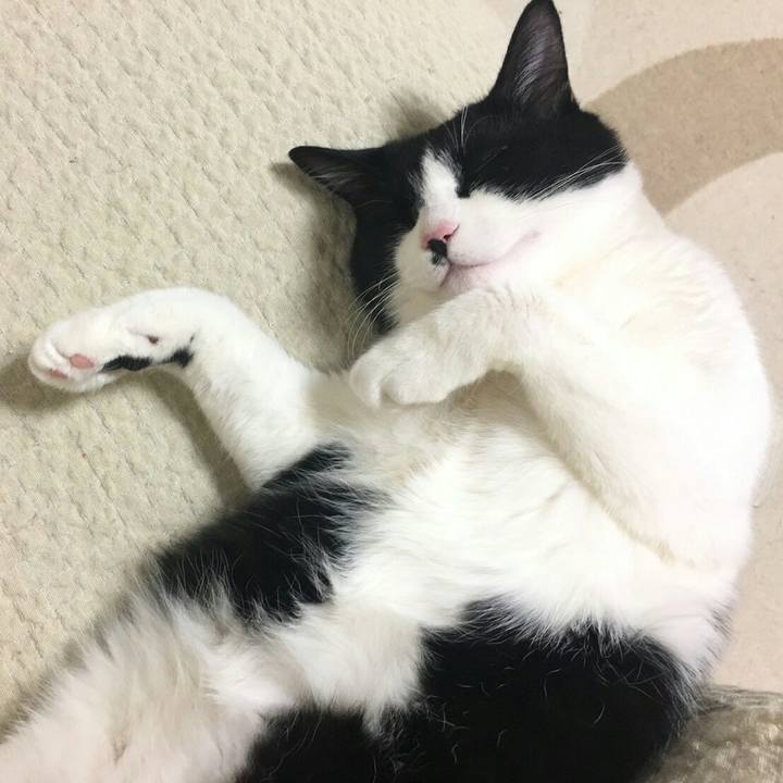 B4dd7935 d70a 4506 9983 cc11d5aee709