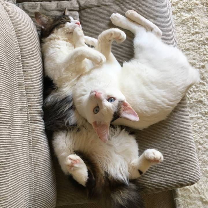 B4dd7d72 1c51 4c60 94a9 ab8a77d2e717