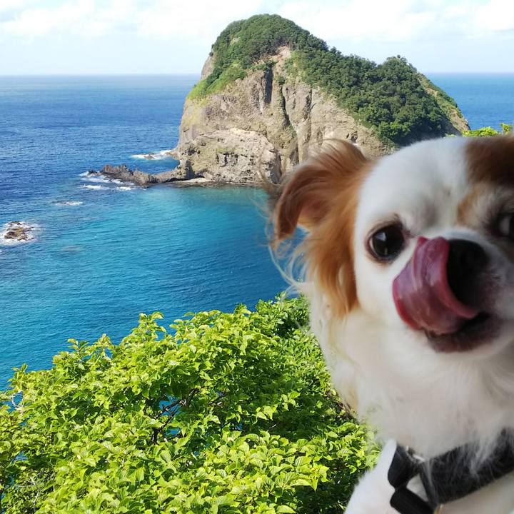 B4dded27 3cda 4eac 85ee c03ed93a1e33