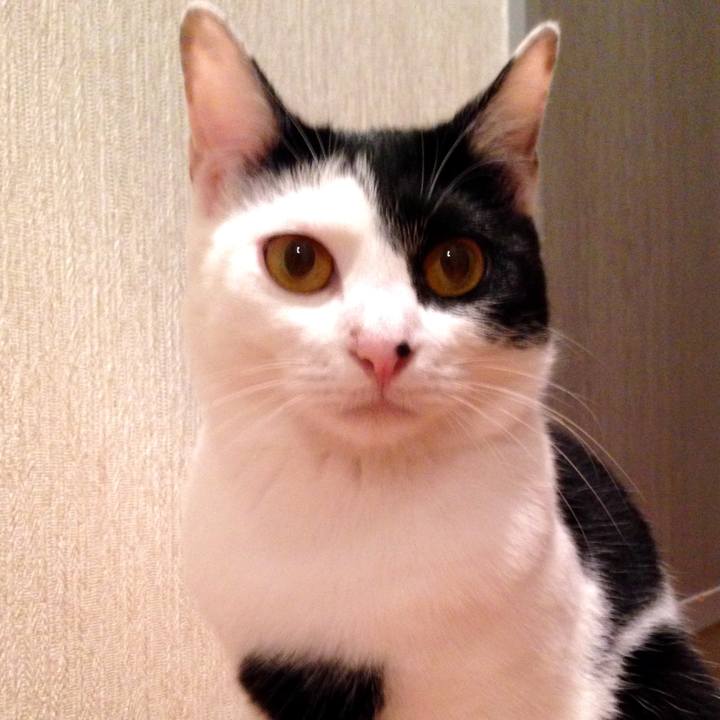 B4ddfacb d9f1 4abf b27d 0c8c241a7760