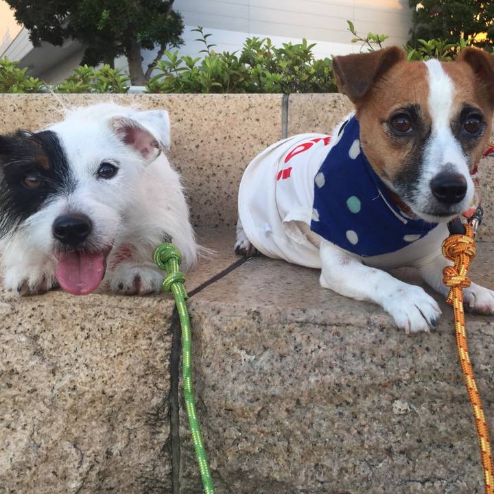 B4de0264 37c2 4023 8168 6e98ce9c751c