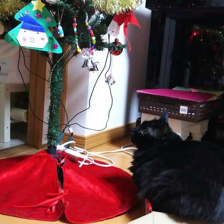 B4de8a97 806b 4cb9 9e0a e3779e3130b0