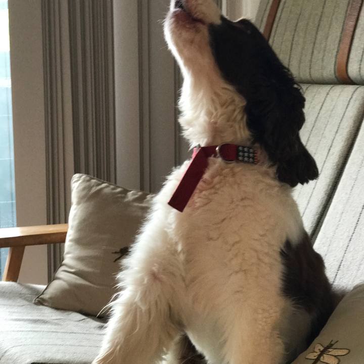 B4dea34f 0271 446d 820f a68f6b251fb4