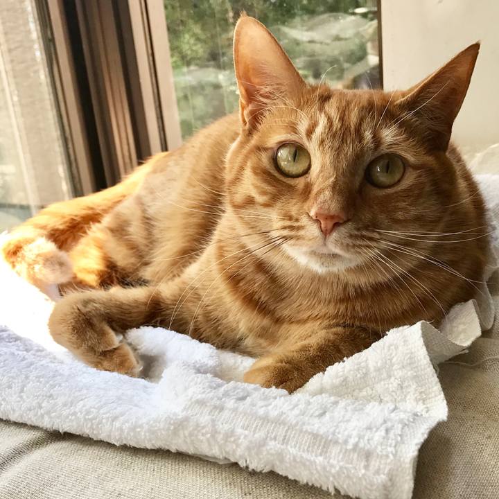 B4df371e ac1c 4635 8fb7 cfafa477f29f