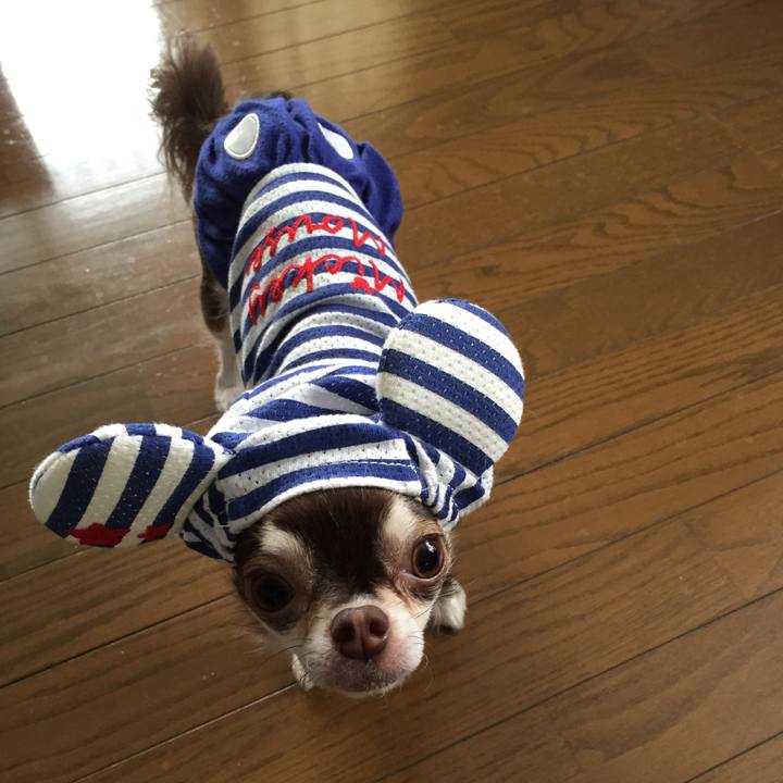 B4df9163 38ad 4a55 8814 8c8647f68273