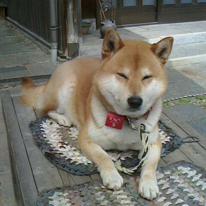 B4df9aa0 0984 4e95 8b0c 97d4d9d0def9