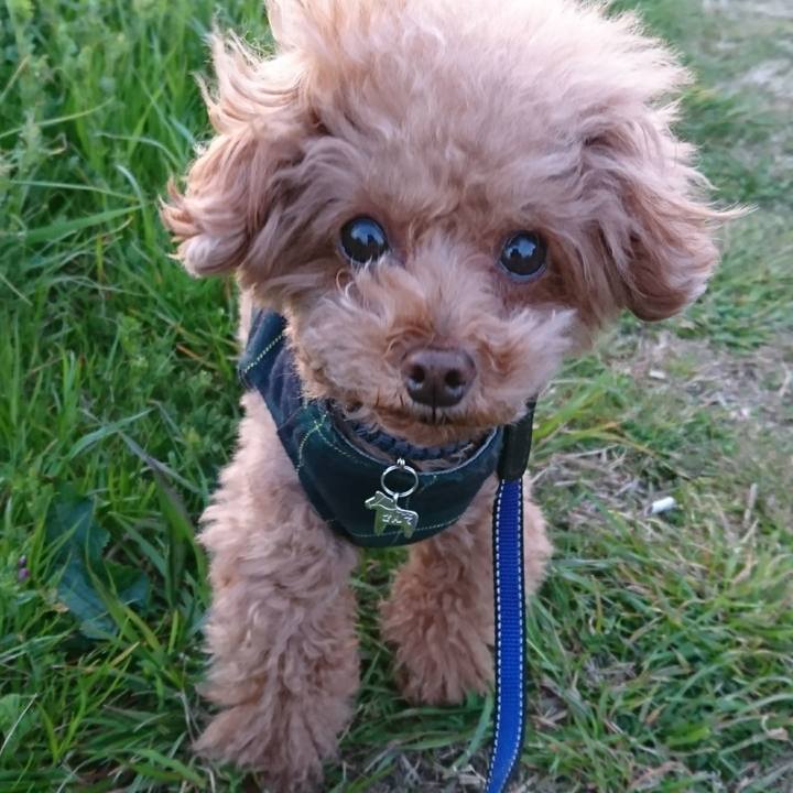 B4dfb9e2 779d 4444 9090 83ece1efe379