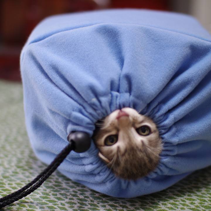 B4e0361c 8ef8 422b b51d f72ddcfca371