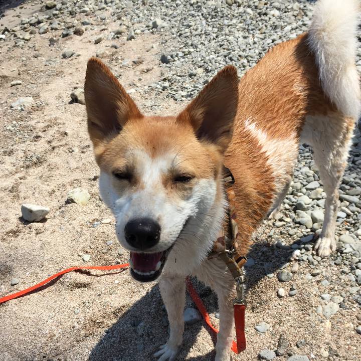 B4e07747 5af5 4313 9508 f63b0a34b1bc