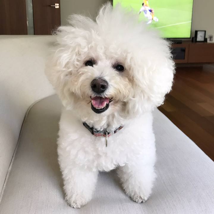 B4e09e25 07cc 47a7 a236 988e1a839730