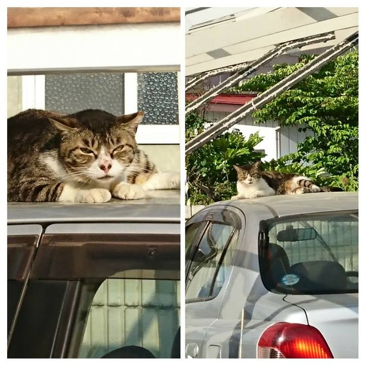 B4e12c29 1aee 48a6 b1ba c25a6e2dfa76