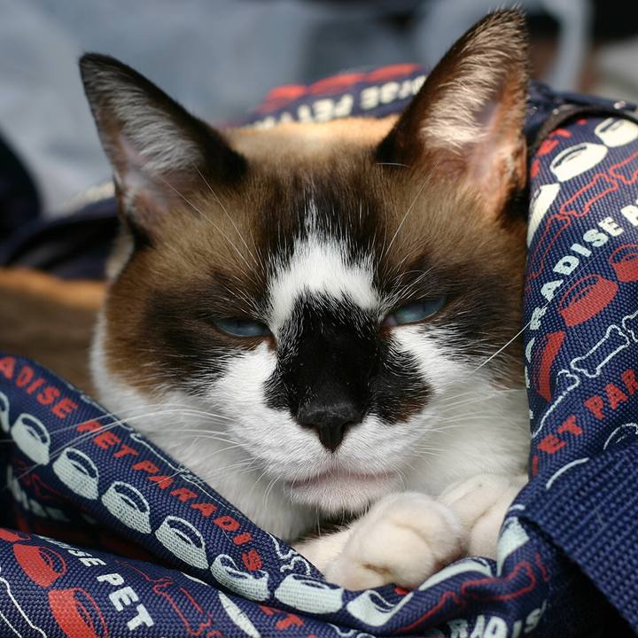 B4e1c4ac 2c06 4672 b5c6 c7ed15140e32