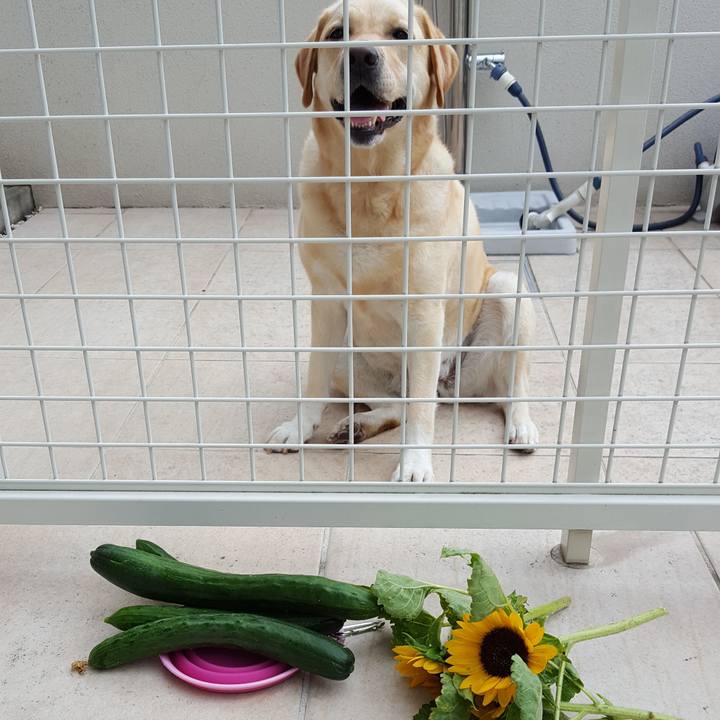 B4e1d379 6b3b 40e4 8972 baadfd575f16