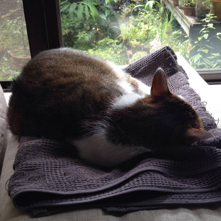 B4e2869d 06e8 4dd3 be8d a6250f0baeb1