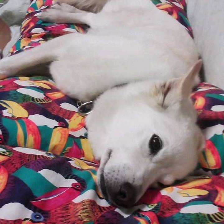 B4e29c6b 9016 4ce4 91ff d4b377d27460