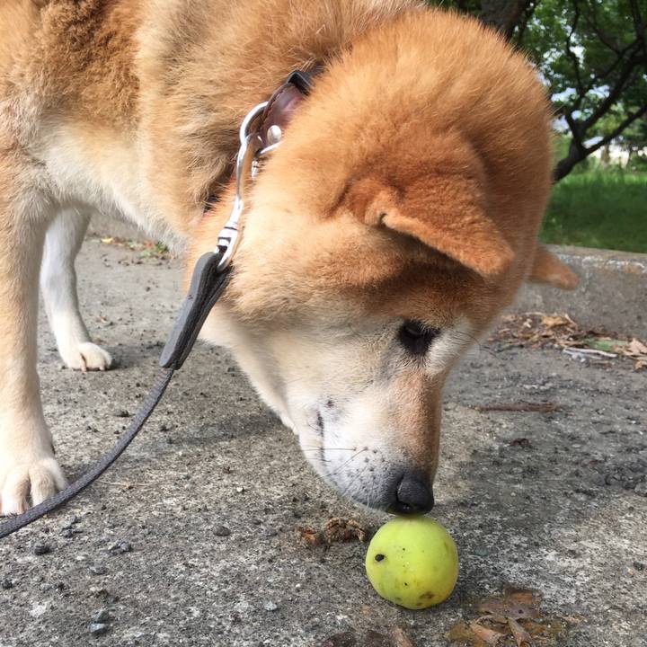 B4e2bc13 9144 4ead a2ae 02e0698b344d