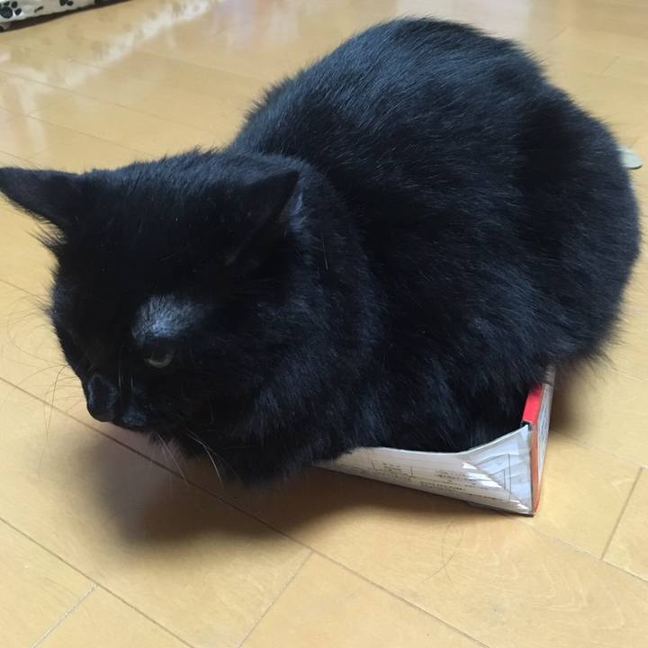 B4e3079e cbaa 49af b1e1 a46640f39d9a