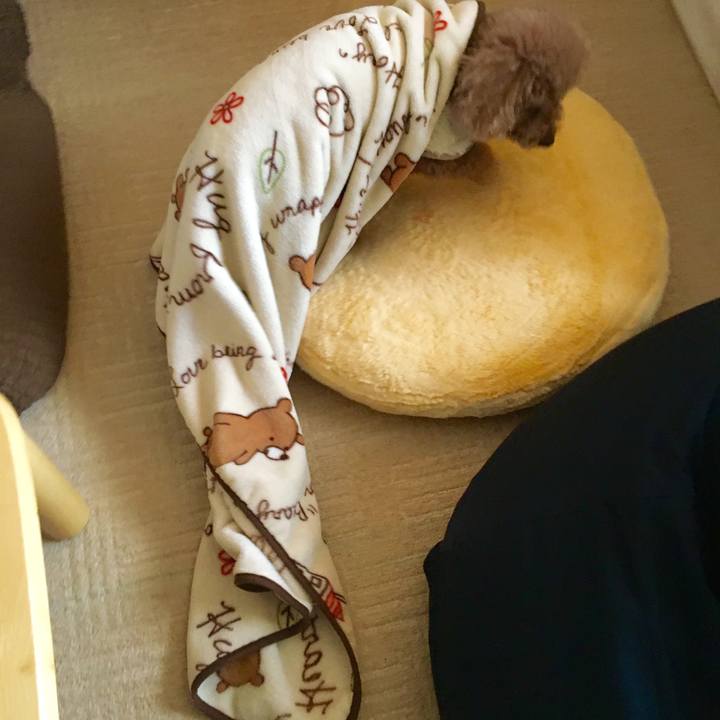 B4e4d75b 1326 4310 ac88 f90cc96006af