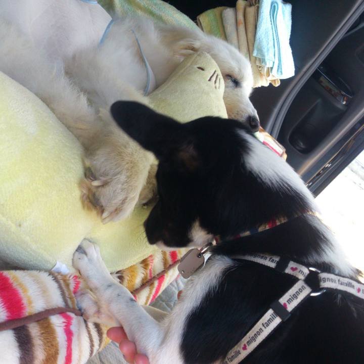 B4e50e72 b2b0 4084 a351 b50556100566