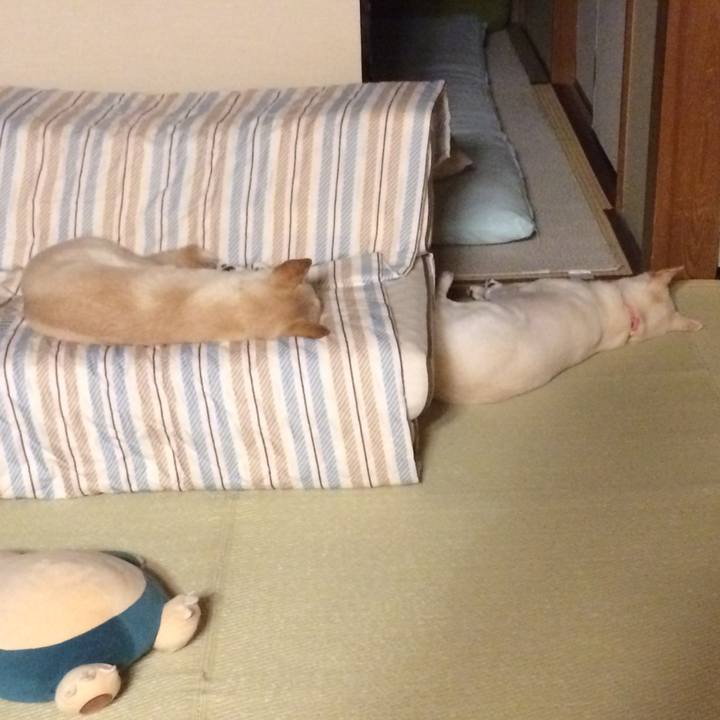 B4e5309e 301c 49f9 b836 be014c90ef27