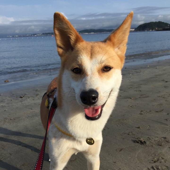 B4e56df3 6772 4e4f b558 2d724c665f9c