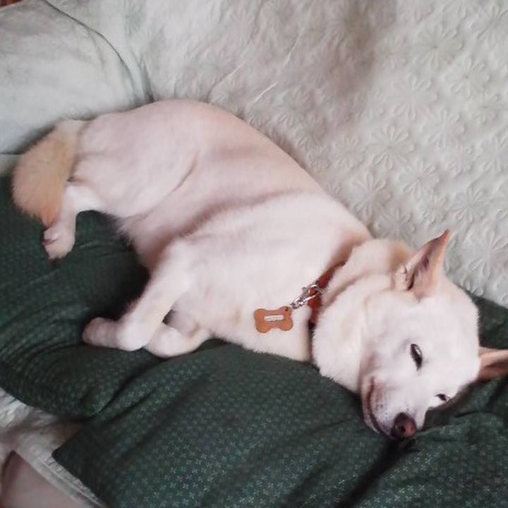 B4e6443b 34c2 40e0 acef 5d876d7d6c36