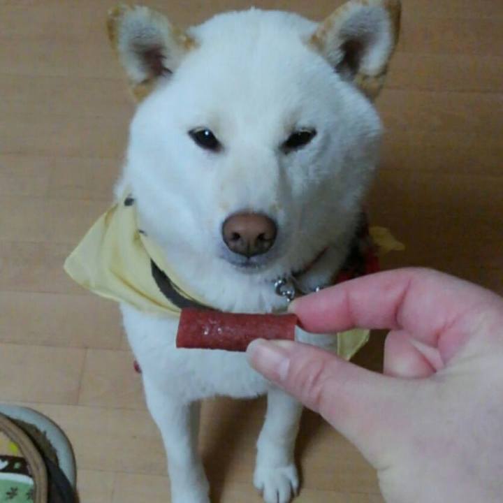 B4e64ad4 82ee 48d1 b020 a1fc0dd1a543