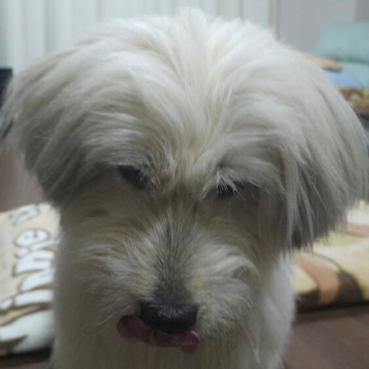 B4e7b8bd c3a9 4d60 bf96 f51b4ec6193d