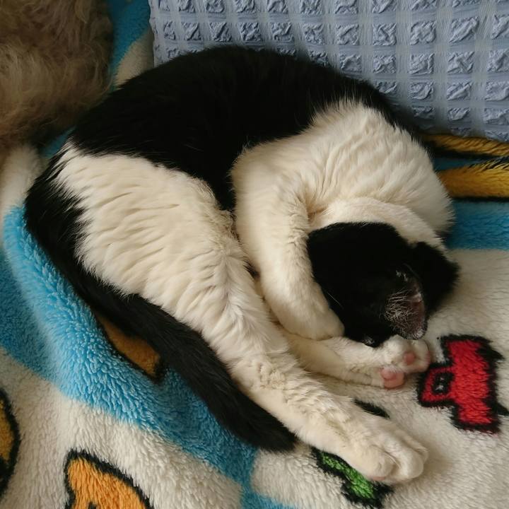 B4e8885a e2d4 45cc 95fc 2a6b675135a8