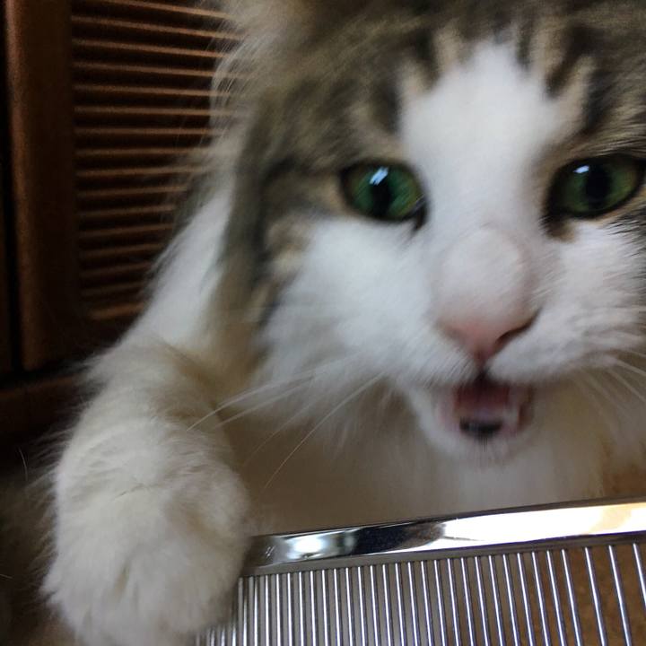 B4e898af b7c4 4766 a8a0 ab8634ebd9f7