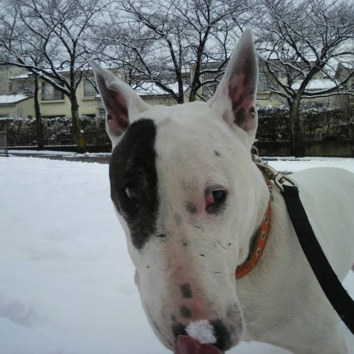 B4e8f341 5f83 4e67 9394 4ae48272667c