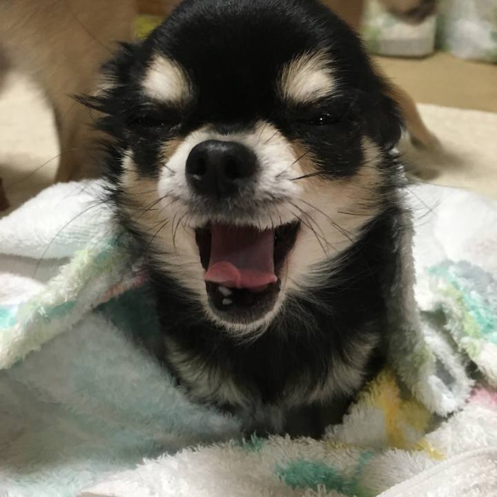 B4e9077a c724 4b7d ace4 cfe0cde4860b