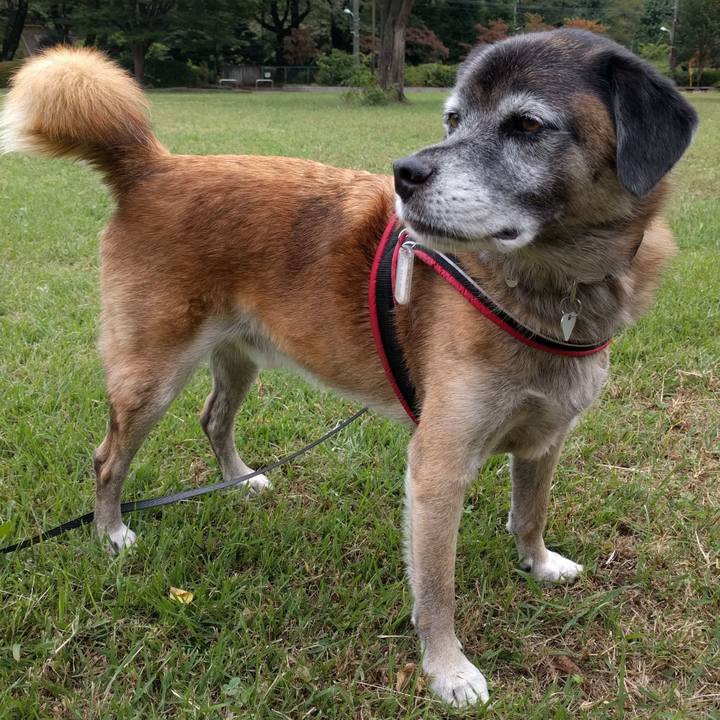 B4e91b78 6c13 4f99 abe9 41ad0c5617df