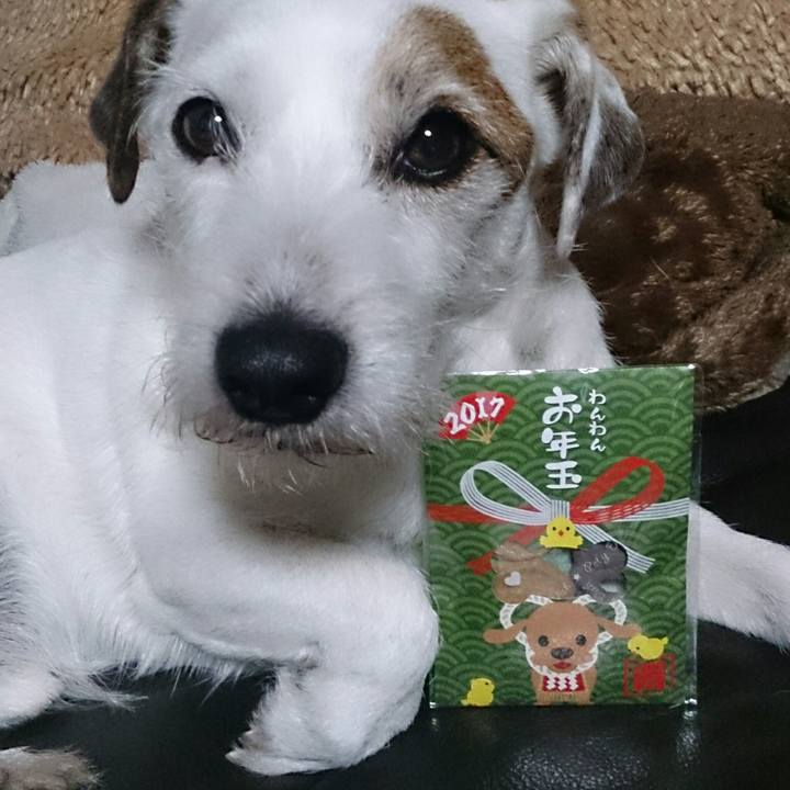 B4e94cdb 33fd 436a b29b 48c3b00a7b77