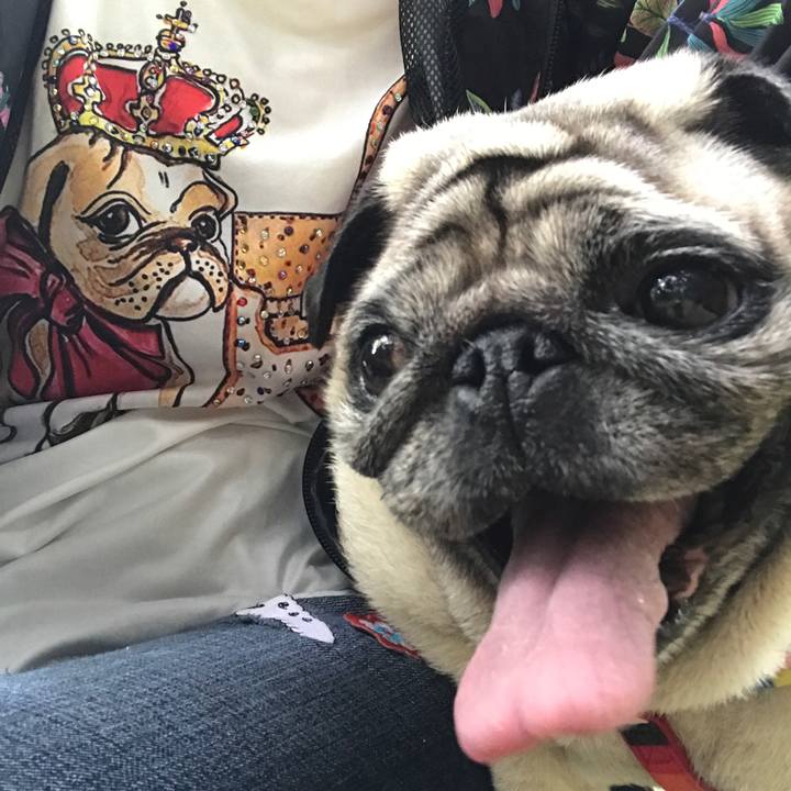 B4e9bc58 2d7e 4820 8ffb 1960d6284791