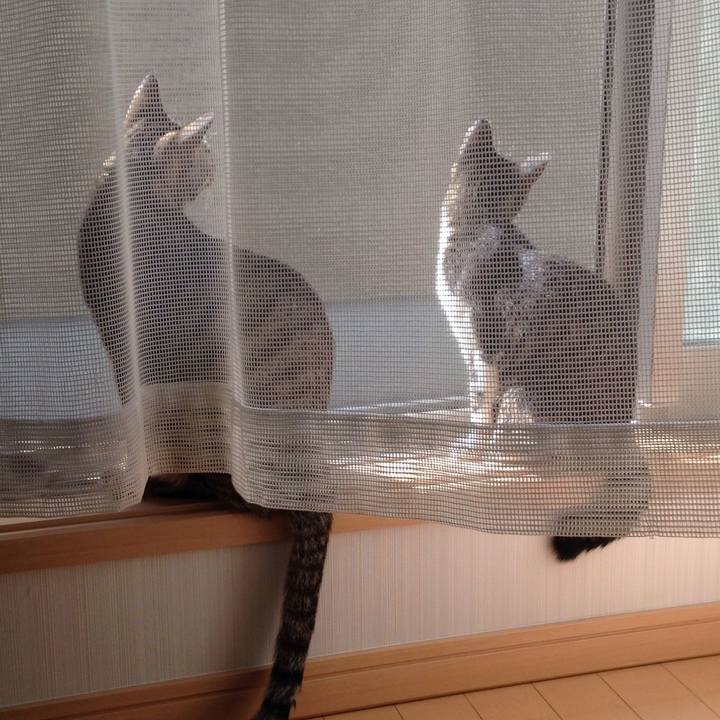 B4ea6320 dfff 46e6 8965 a896d99c24bd