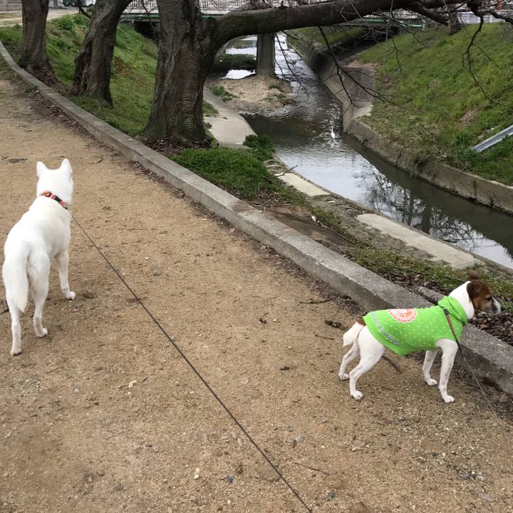 B4eac8d6 5ebd 416e af19 a750d425b909