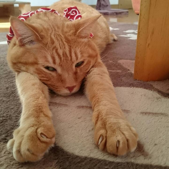 B4eb3a69 b8b3 4102 9e7b 939e7b41eb43