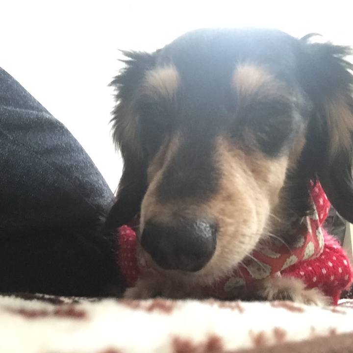 B4eb6da6 fcc2 4974 b9e0 affb41a574fd