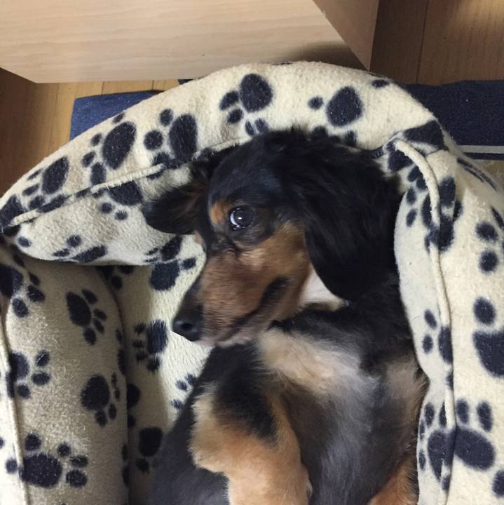 B4ebbf6f 42ea 4456 8021 6ece3238ab68