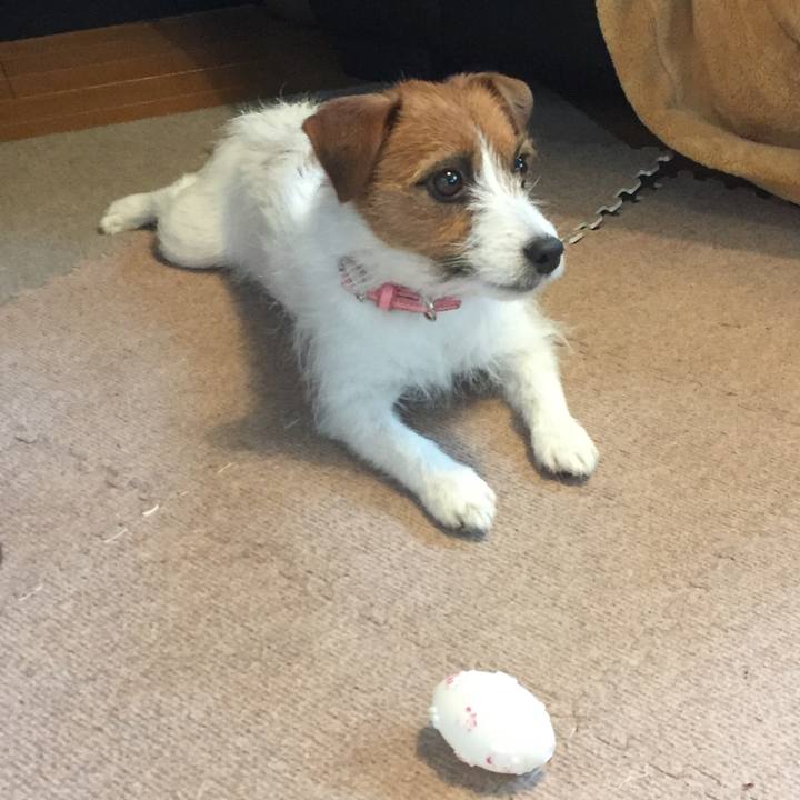 B4ec0ceb 5563 42bd 9511 34e9eb7e48f3