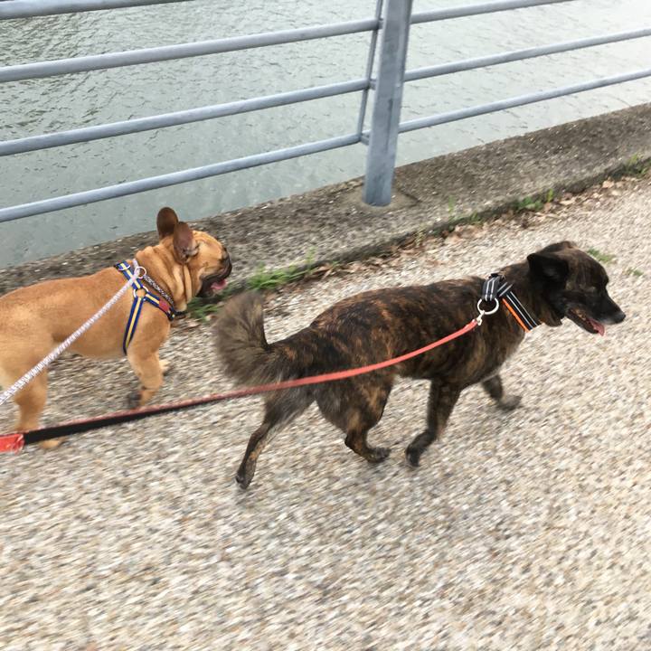 B4ecf39c 69d1 4804 8f00 883f3da542e4