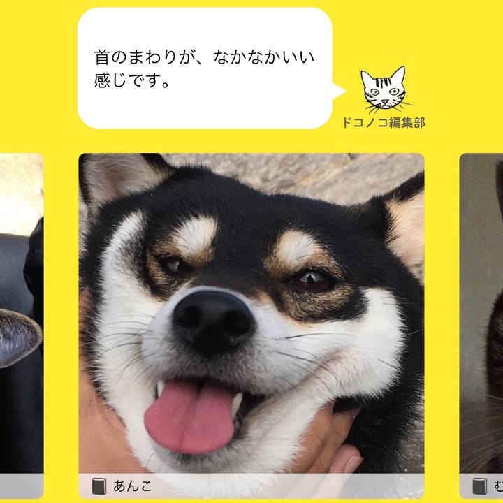 B4ed397e e8a7 4327 aa1b 81a3d235d303