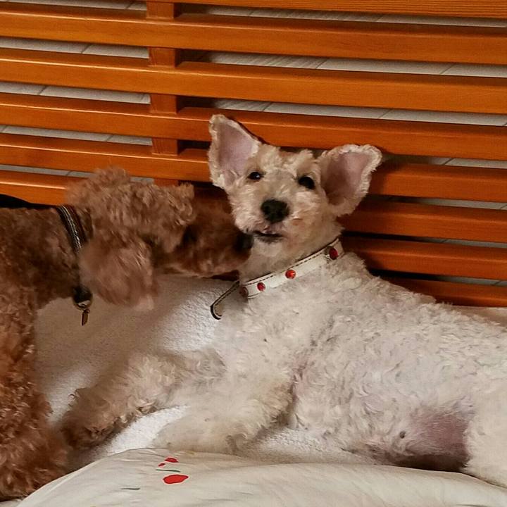 B4ed3d22 28f5 4e99 9d30 4d7967773a39